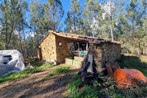 Helårsgrund i Castelo Branco, Castelo Branco, Castelo Branco - € 29.000 | Ref: H646 - foto 4