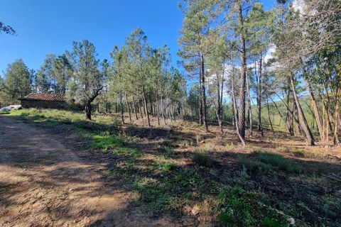 Helårsgrund i Castelo Branco, Castelo Branco, Castelo Branco - € 29.000 | Ref: H646 - foto 9