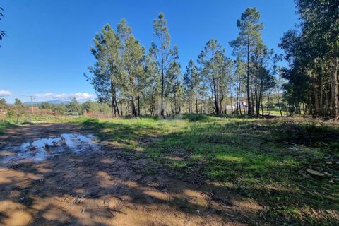 Helårsgrund i Castelo Branco, Castelo Branco, Castelo Branco - € 29.000 | Ref: H646 - foto 10