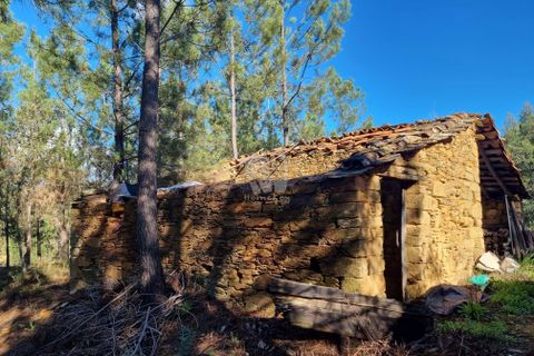 Helårsgrund i Castelo Branco, Castelo Branco, Castelo Branco - € 29.000 | Ref: H646 - foto 11