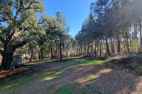 Helårsgrund i Castelo Branco, Castelo Branco, Castelo Branco - € 29.000 | Ref: H646 - foto 18