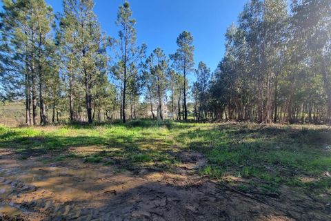 Helårsgrund i Castelo Branco, Castelo Branco, Castelo Branco - € 29.000 | Ref: H646 - foto 21