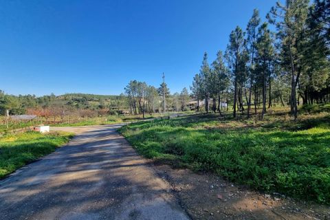 Helårsgrund i Castelo Branco, Castelo Branco, Castelo Branco - € 29.000 | Ref: H646 - foto 22