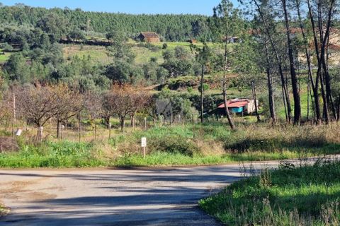 Helårsgrund i Castelo Branco, Castelo Branco, Castelo Branco - € 29.000 | Ref: H646 - foto 24