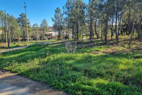 Helårsgrund i Castelo Branco, Castelo Branco, Castelo Branco - € 29.000 | Ref: H646 - foto 27