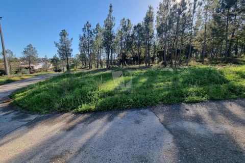 Helårsgrund i Castelo Branco, Castelo Branco, Castelo Branco - € 29.000 | Ref: H646 - foto 28