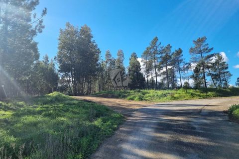 Helårsgrund i Castelo Branco, Castelo Branco, Castelo Branco - € 29.000 | Ref: H646 - foto 30