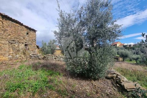 Ruinere i Castelo Branco, Castelo Branco, Castelo Branco - € 18.750 | Ref: H640 - foto 17