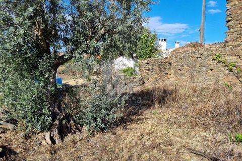Ruinere i Castelo Branco, Castelo Branco, Castelo Branco - € 18.750 | Ref: H640 - foto 21