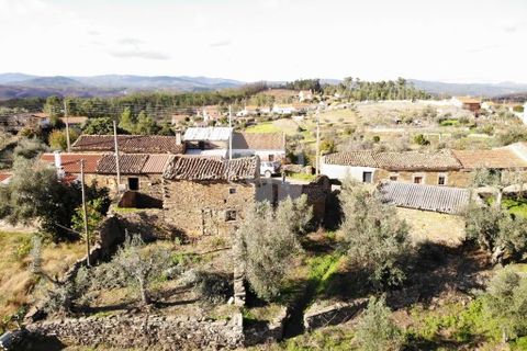 Ruinere i Castelo Branco, Castelo Branco, Castelo Branco - € 18.750 | Ref: H640 - foto 29