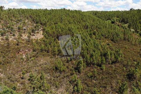 Helårsgrund i Castelo Branco, Castelo Branco, Castelo Branco - € 5.500 | Ref: H635 - foto 1