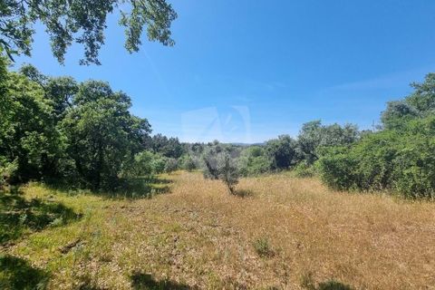 Helårsgrund i Castelo Branco, Castelo Branco, Castelo Branco - € 5.000 | Ref: H621 - foto 2