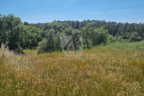 Helårsgrund i Castelo Branco, Castelo Branco, Castelo Branco - € 5.000 | Ref: H621 - foto 4