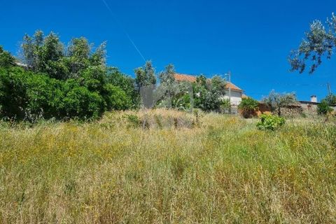 Helårsgrund i Castelo Branco, Castelo Branco, Castelo Branco - € 5.000 | Ref: H621 - foto 5