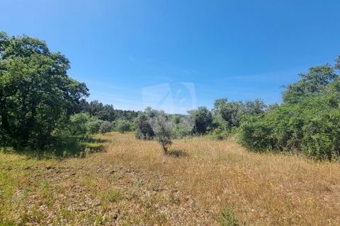 Helårsgrund i Castelo Branco, Castelo Branco, Castelo Branco - € 5.000 | Ref: H621 - foto 8