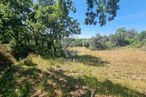 Helårsgrund i Castelo Branco, Castelo Branco, Castelo Branco - € 5.000 | Ref: H621 - foto 9