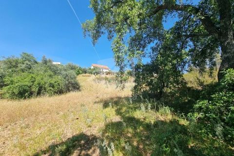 Helårsgrund i Castelo Branco, Castelo Branco, Castelo Branco - € 5.000 | Ref: H621 - foto 10