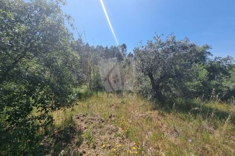 Helårsgrund i Castelo Branco, Castelo Branco, Castelo Branco - € 5.000 | Ref: H621 - foto 11