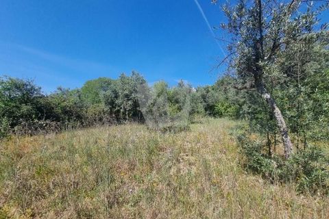 Helårsgrund i Castelo Branco, Castelo Branco, Castelo Branco - € 5.000 | Ref: H621 - foto 12