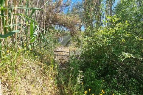 Helårsgrund i Castelo Branco, Castelo Branco, Castelo Branco - € 5.000 | Ref: H621 - foto 13