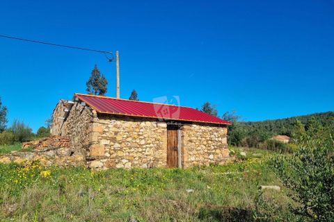 Helårsgrund i Castelo Branco, Castelo Branco, Castelo Branco - € 23.700 | Ref: H651 - foto 2