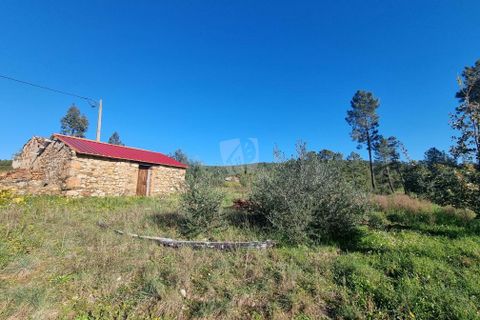 Helårsgrund i Castelo Branco, Castelo Branco, Castelo Branco - € 23.700 | Ref: H651 - foto 6