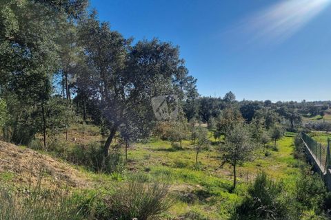 Helårsgrund i Castelo Branco, Castelo Branco, Castelo Branco - € 23.700 | Ref: H651 - foto 10