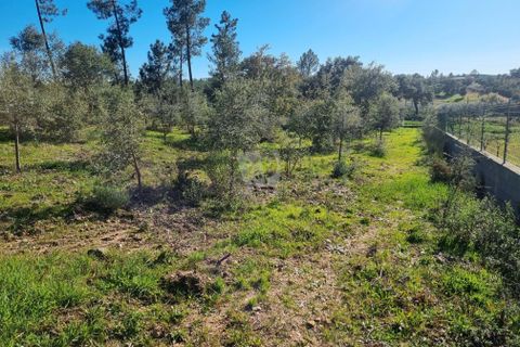 Helårsgrund i Castelo Branco, Castelo Branco, Castelo Branco - € 23.700 | Ref: H651 - foto 13