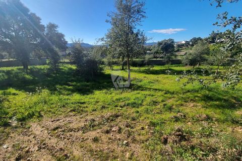Helårsgrund i Castelo Branco, Castelo Branco, Castelo Branco - € 23.700 | Ref: H651 - foto 15