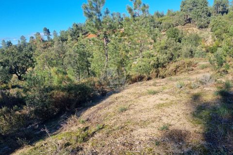 Helårsgrund i Castelo Branco, Castelo Branco, Castelo Branco - € 23.700 | Ref: H651 - foto 17