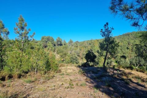 Helårsgrund i Castelo Branco, Castelo Branco, Castelo Branco - € 23.700 | Ref: H651 - foto 20