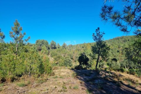 Helårsgrund i Castelo Branco, Castelo Branco, Castelo Branco - € 23.700 | Ref: H651 - foto 21