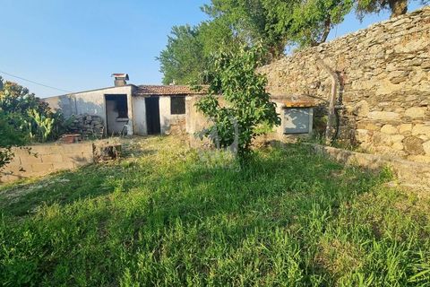 Byhus i Castelo Branco, Castelo Branco, Castelo Branco - € 70.000 | Ref: H622 - foto 18