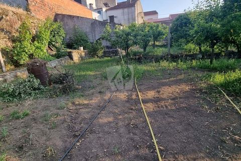 Byhus i Castelo Branco, Castelo Branco, Castelo Branco - € 70.000 | Ref: H622 - foto 22