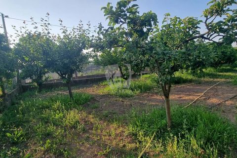 Byhus i Castelo Branco, Castelo Branco, Castelo Branco - € 70.000 | Ref: H622 - foto 23
