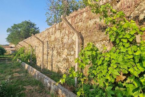 Byhus i Castelo Branco, Castelo Branco, Castelo Branco - € 70.000 | Ref: H622 - foto 24