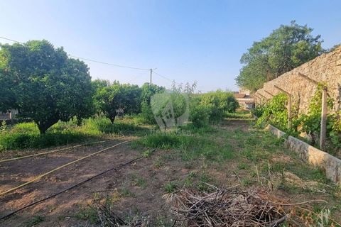 Byhus i Castelo Branco, Castelo Branco, Castelo Branco - € 70.000 | Ref: H622 - foto 25