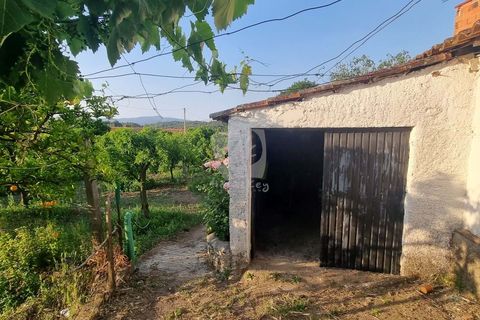 Byhus i Castelo Branco, Castelo Branco, Castelo Branco - € 70.000 | Ref: H622 - foto 29