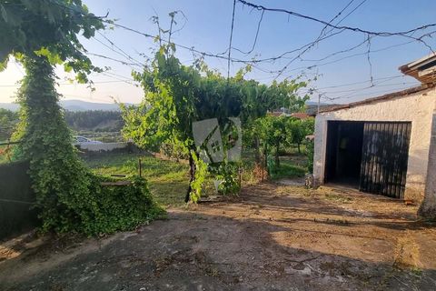 Byhus i Castelo Branco, Castelo Branco, Castelo Branco - € 70.000 | Ref: H622 - foto 31