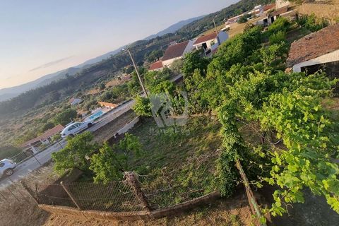 Byhus i Castelo Branco, Castelo Branco, Castelo Branco - € 70.000 | Ref: H622 - foto 32