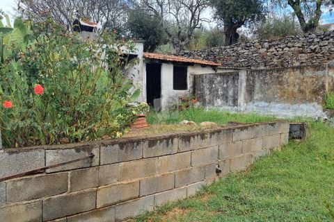 Byhus i Castelo Branco, Castelo Branco, Castelo Branco - € 70.000 | Ref: H622 - foto 36