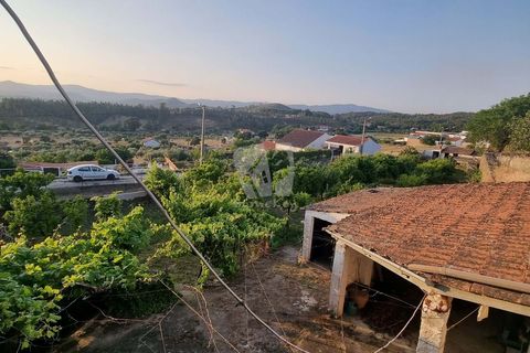 Byhus i Castelo Branco, Castelo Branco, Castelo Branco - € 70.000 | Ref: H622 - foto 39