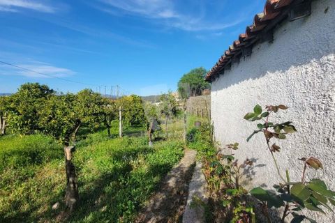 Byhus i Castelo Branco, Castelo Branco, Castelo Branco - € 70.000 | Ref: H622 - foto 2