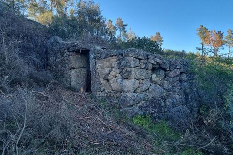 Helårsgrund i Castelo Branco, Castelo Branco, Castelo Branco - € 67.500 | Ref: H511 - foto 4