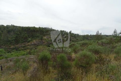 Helårsgrund i Castelo Branco, Castelo Branco, Castelo Branco - € 67.500 | Ref: H511 - foto 5