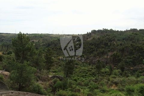 Helårsgrund i Castelo Branco, Castelo Branco, Castelo Branco - € 67.500 | Ref: H511 - foto 11
