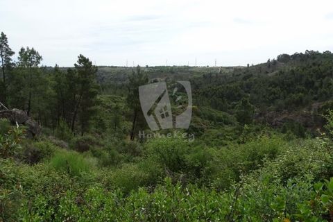 Helårsgrund i Castelo Branco, Castelo Branco, Castelo Branco - € 67.500 | Ref: H511 - foto 12