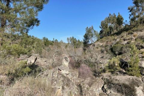 Helårsgrund i Castelo Branco, Castelo Branco, Castelo Branco - € 67.500 | Ref: H511 - foto 13