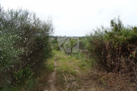 Helårsgrund i Castelo Branco, Castelo Branco, Castelo Branco - € 67.500 | Ref: H511 - foto 15