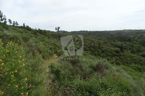 Helårsgrund i Castelo Branco, Castelo Branco, Castelo Branco - € 67.500 | Ref: H511 - foto 16